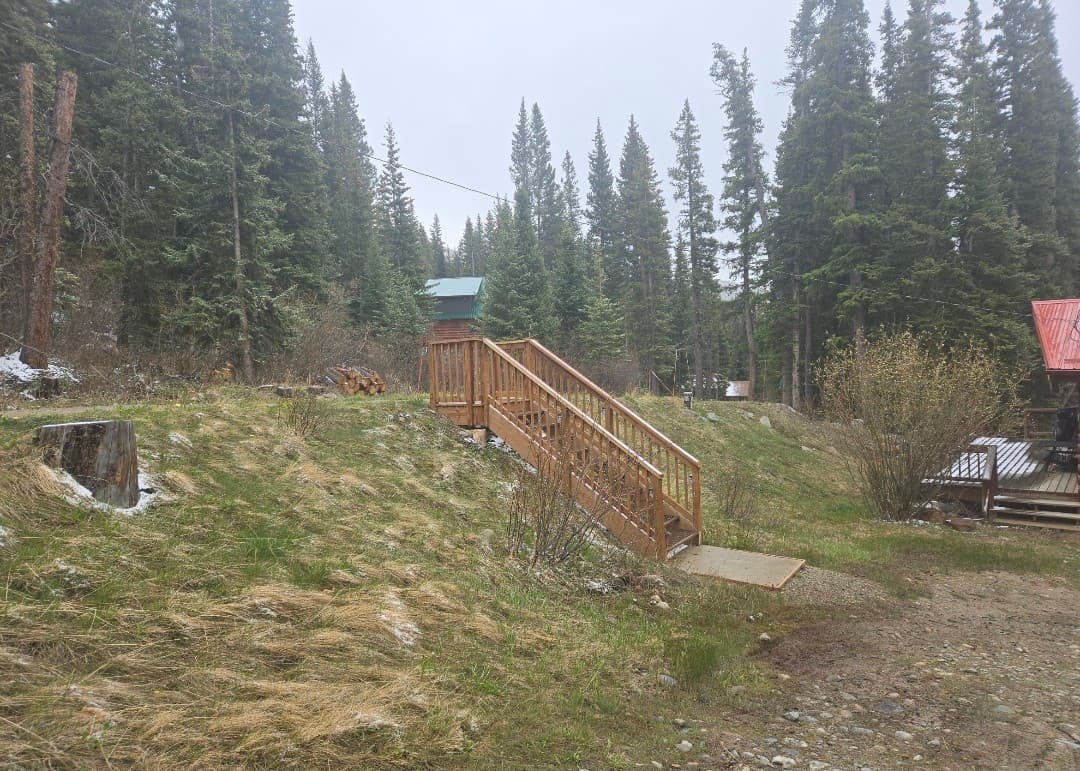 Wooden stairs lead up a grassy slope towards a dense evergreen forest with rustic cabins.