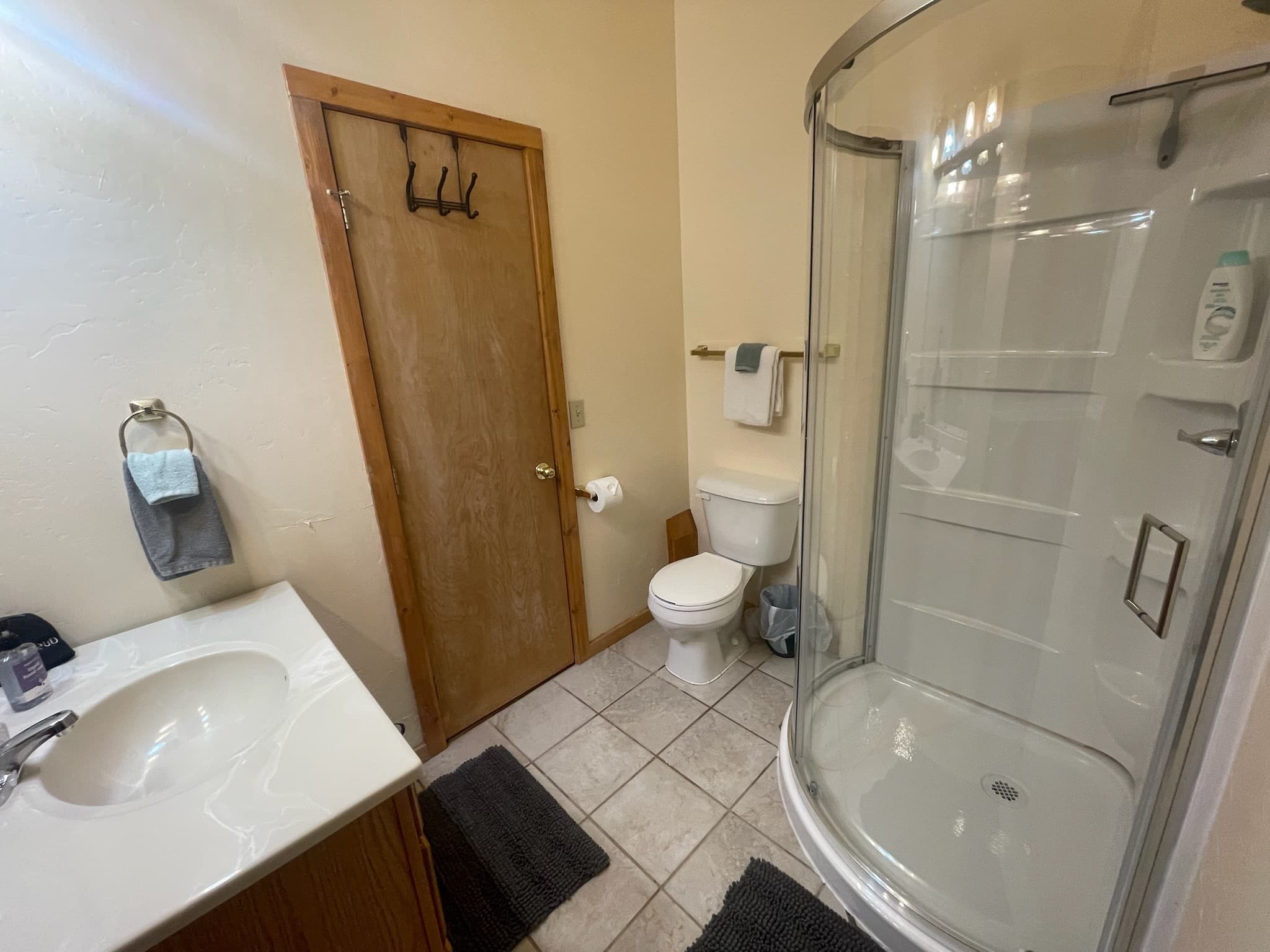 Small bathroom featuring a white vanity, wooden door, toilet, and a curved glass shower stall.