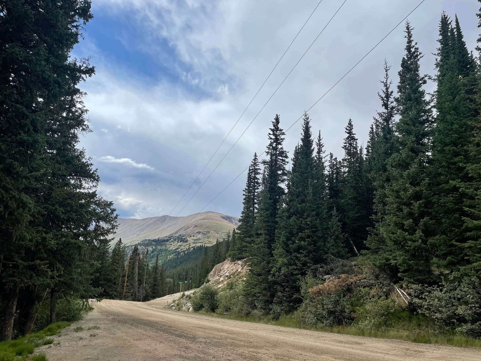 Winding dirt road through evergreen forest with a large mountain peak in the background.